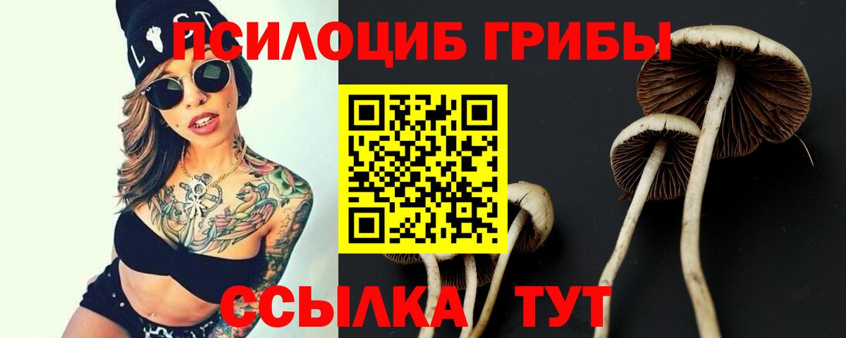 Галлюциногенные грибы Cubensis Гусиноозёрск
